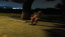 白桃汽水16