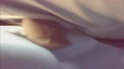 Encoxada pants pt 1