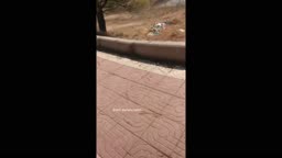 Encoxada Dickflash