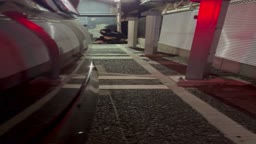 野ション3