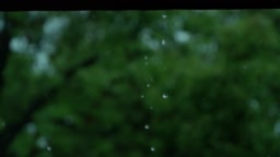 晚晚 1