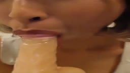 スカマニア向け