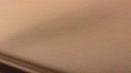 ふぇらーり
