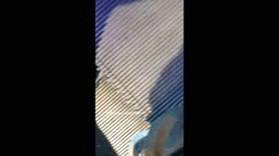 Encoxada Dickflash