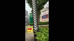 Encoxada Dickflash