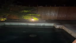 ライブチャット