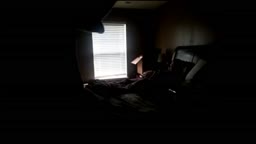 Wife 5