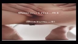 msin3
