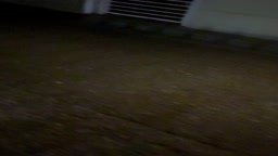 お礼