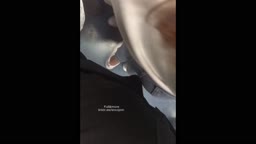 Encoxada Dickflash