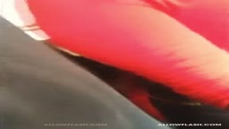 Encoxada Bus Arm Touch