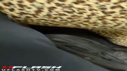 Thicc milf pushes her ass on his hand