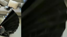 インスタ拾いAI高画質化拡大FPS補完