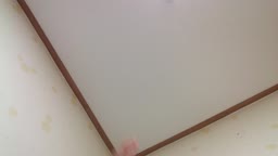 ライブチャット