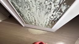 大量