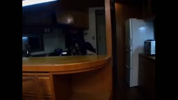 背面特集