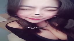 风起🐱🐱