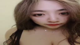 风起🐱🐱