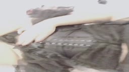风起🐱🐱