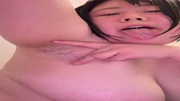 日本　ななし