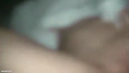 たまこ