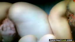 Small Pussy, Big Jump