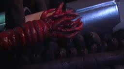 Galactic Alien Invasion: Shester's Tentacled Takedown