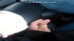 groping 4teen looking japanese (she knows the whole time but let him)