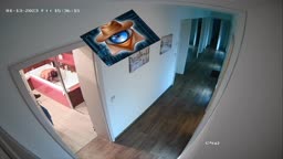 ip cam