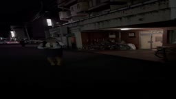 野外露出