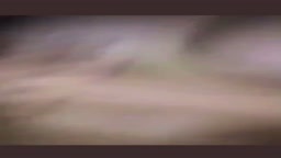 Amateur23
