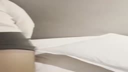 泰迪约炮8