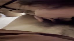 泰迪约炮9
