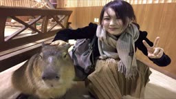 普段とエロのギャップ カピバラ