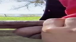 sloppy toppy blowjob