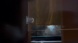 ネットカフェオナニー