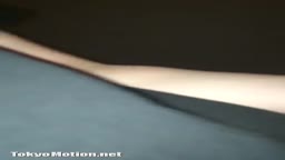 コレクション放出