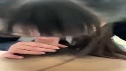 フェラ　２