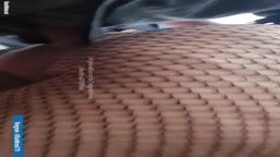 Encoxada fishnet