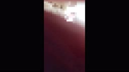 densya112_241224