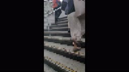 densya104_241028