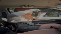 車内