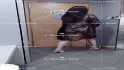 露出
