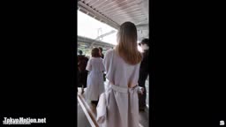 フクロウ　カラー化　おすすめ