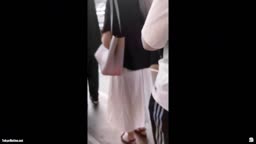 フクロウ　カラー化　おすすめ