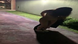 ブリッジ