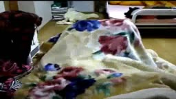 犬　クンニ