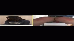 友達のそばでわざとおもらし