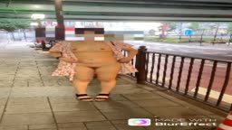 野外露出