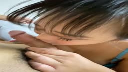 お気に入り